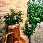 Bed & Breakfast Borgo Luna
