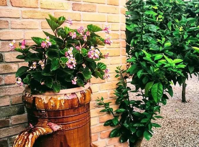 לינה וארוחת בוקר Borgo Luna